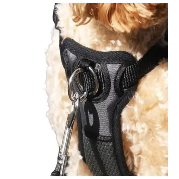 Rosewood Slip On Harness