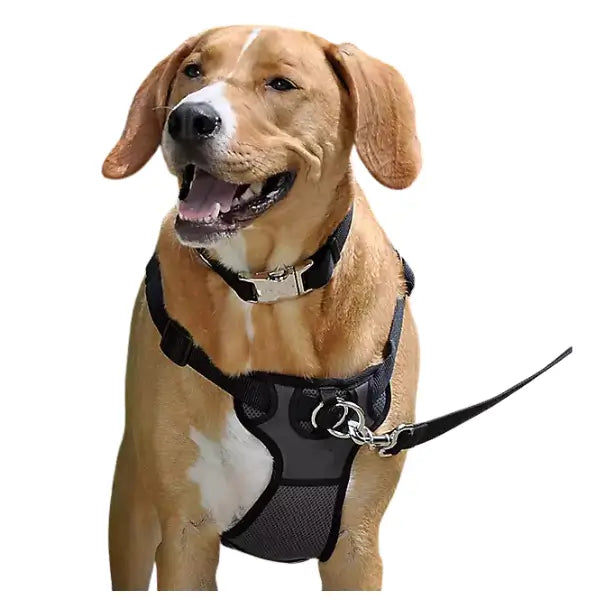 Rosewood Slip On Harness