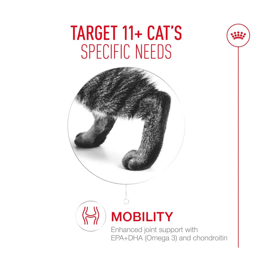 Royal Canin Ageing 11+ Senior Dry Cat Food