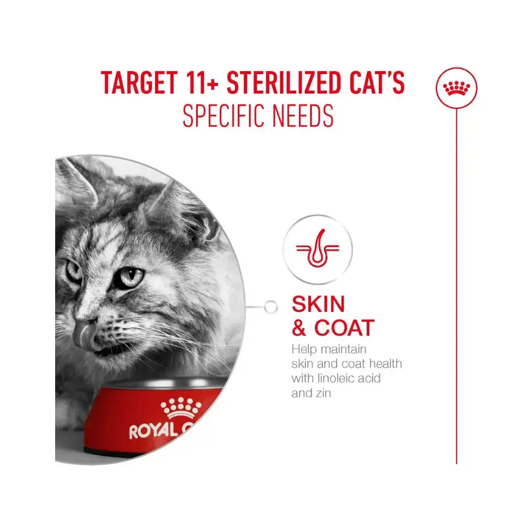 Royal Canin Ageing +11 Cat Wet Cat Food Pouch (New)   | Canine & Co