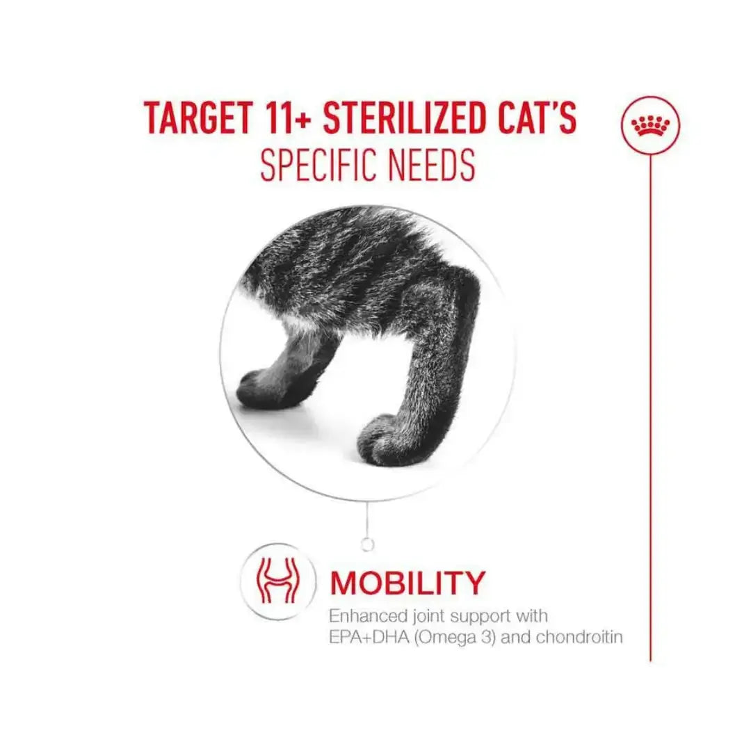 Royal Canin Ageing +11 Cat Wet Cat Food Pouch (New)   | Canine & Co