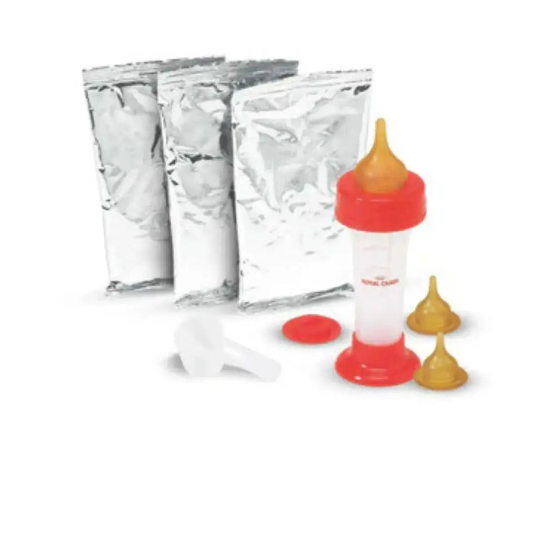 Royal Canin Babycat Milk Wet Cat Food   | Canine & Co