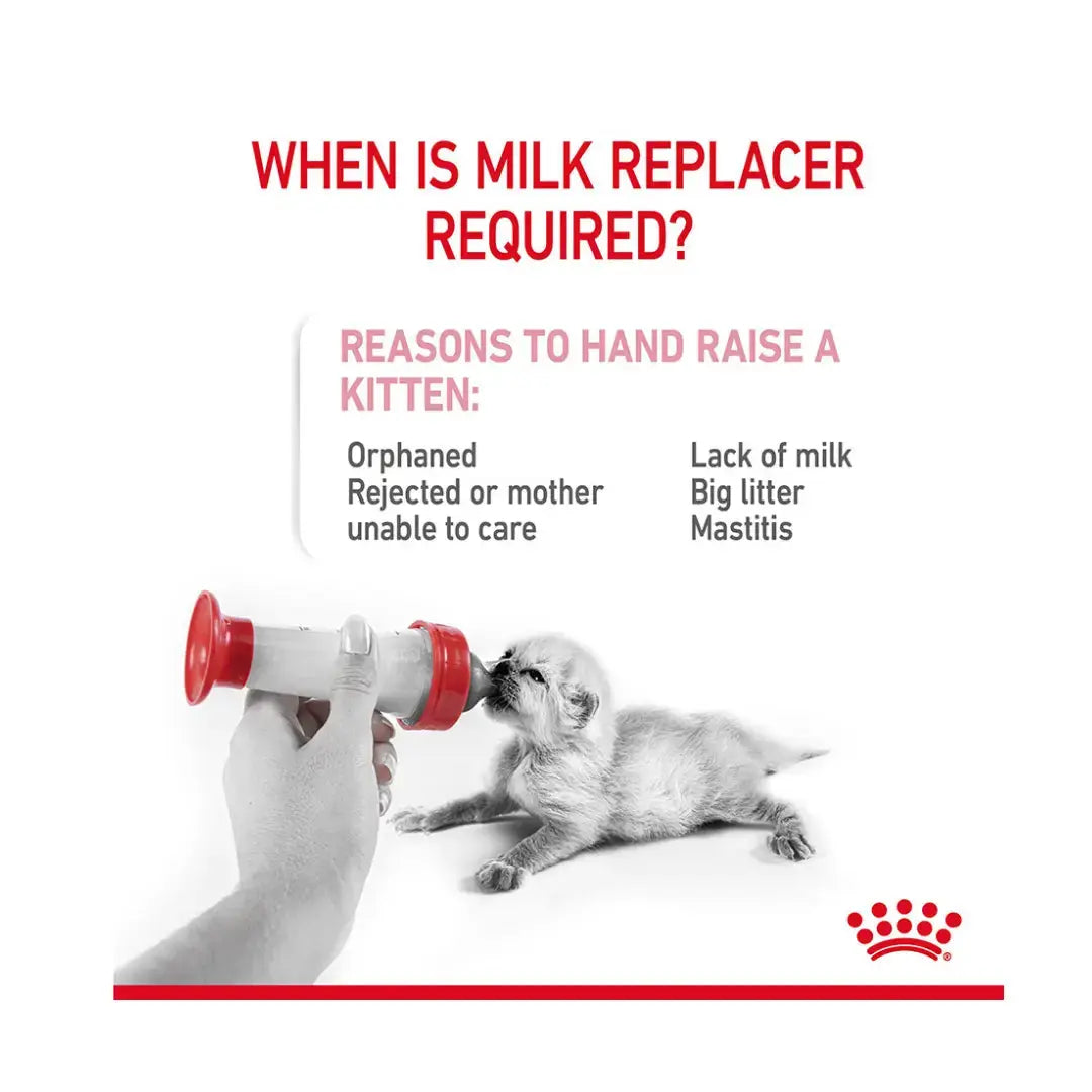 Royal Canin Babycat Milk Wet Cat Food   | Canine & Co