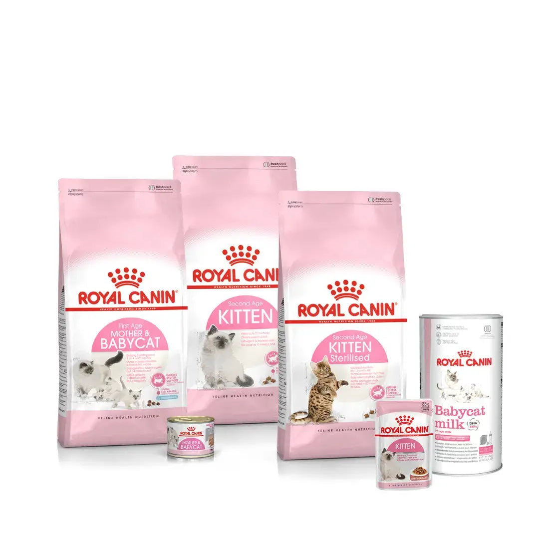 Royal Canin Babycat Milk Wet Cat Food   | Canine & Co