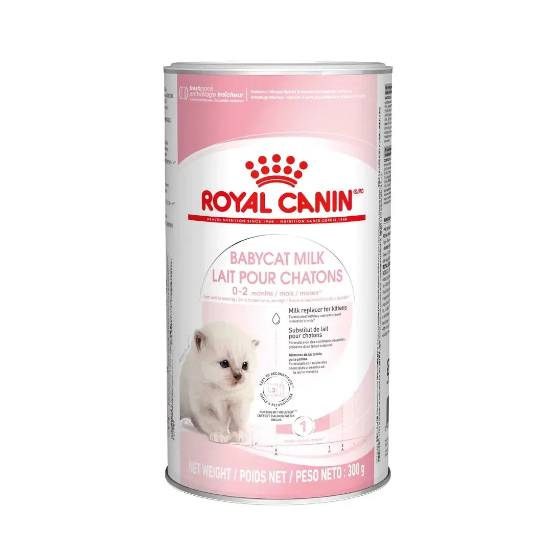 Royal Canin Babycat Milk Wet Cat Food