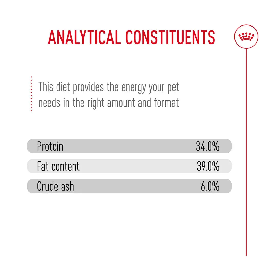 Royal Canin Babycat Milk Wet Cat Food