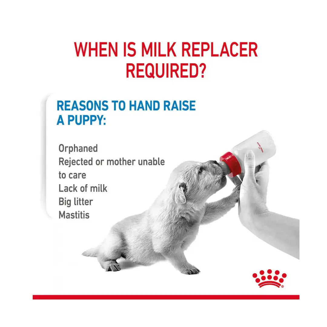 Royal Canin Babydog Milk Wet Dog Food   | Canine & Co