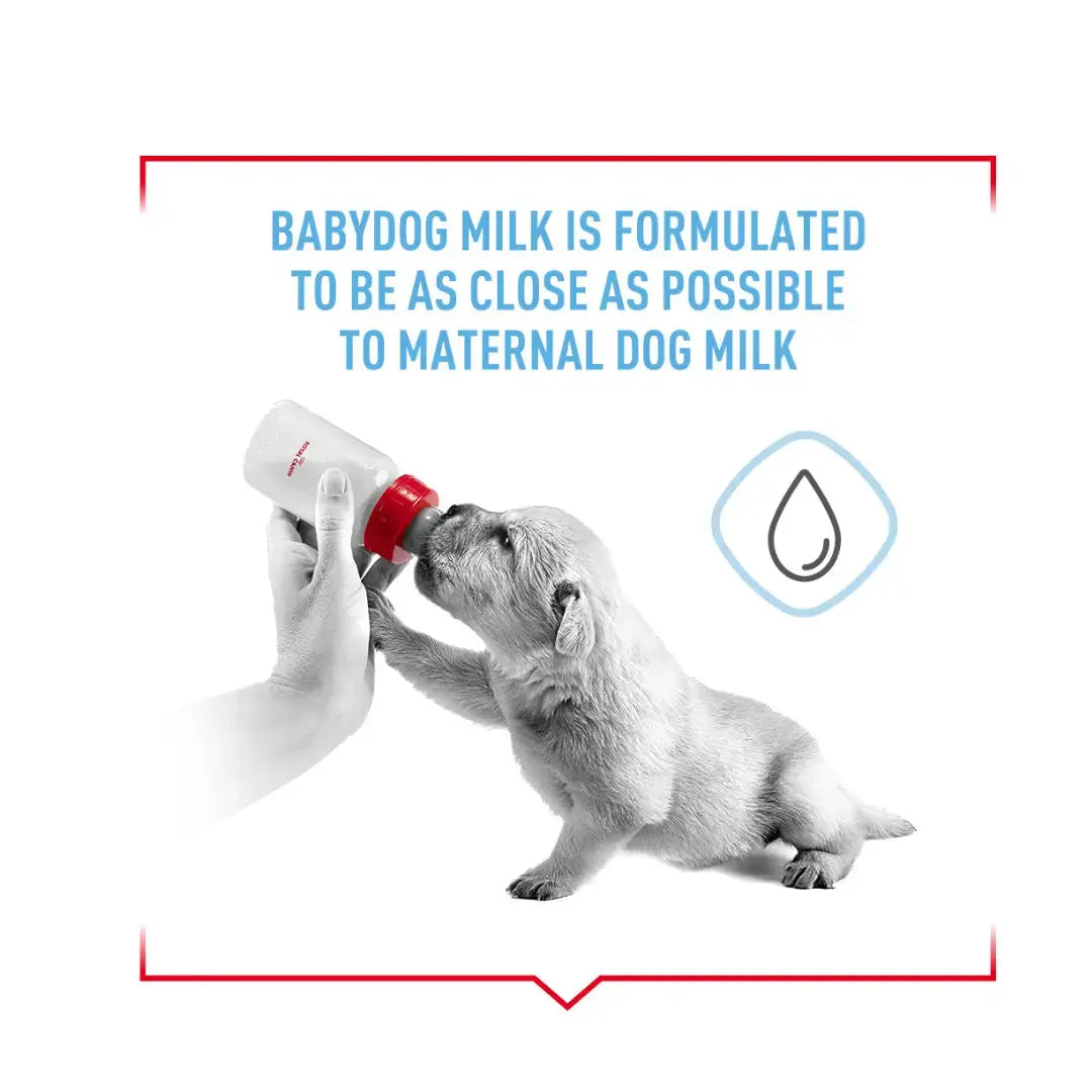 Royal Canin Babydog Milk Wet Dog Food   | Canine & Co