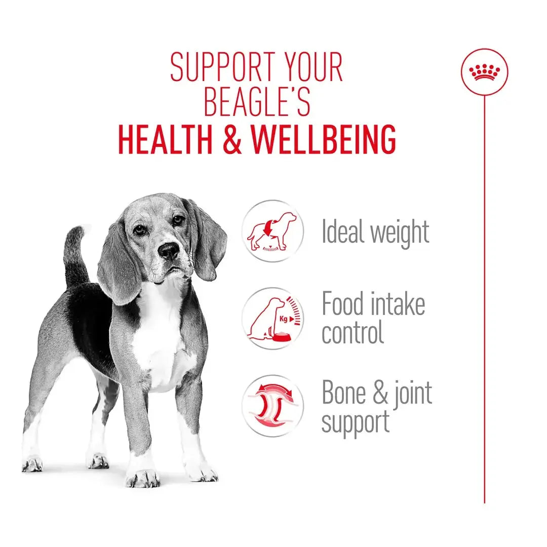 Royal Canin Beagle Adult Dry Dog Food