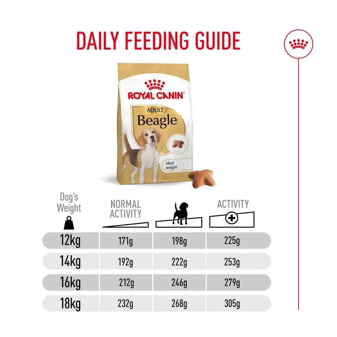 Royal Canin Beagle Adult Dry Dog Food