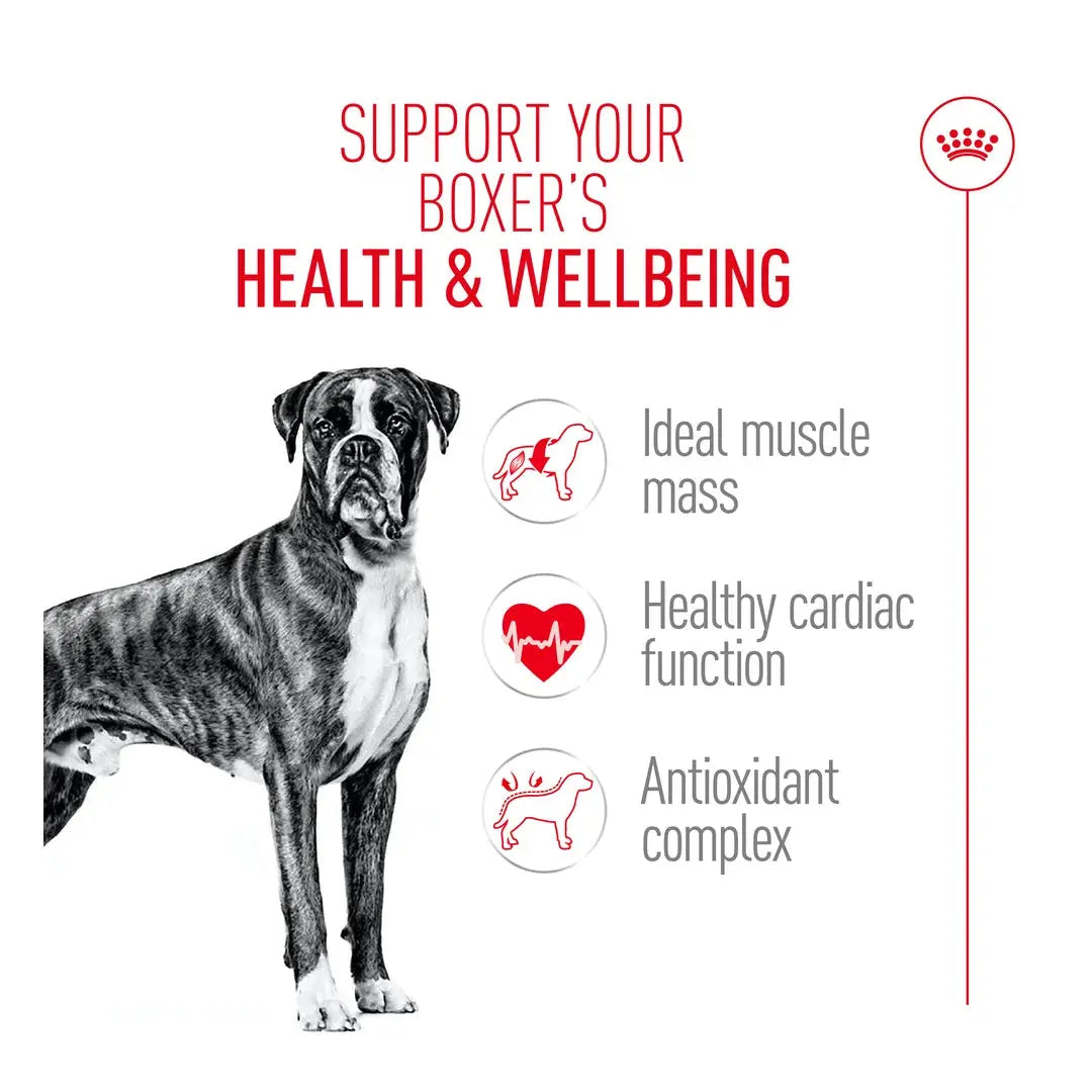 Royal Canin Boxer Adult Dry Dog Food