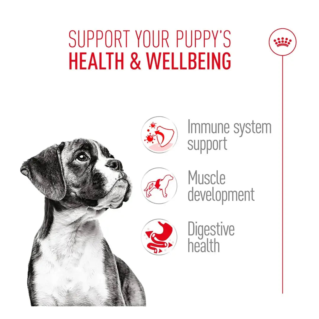 Royal Canin Boxer Puppy Dry Dog Food