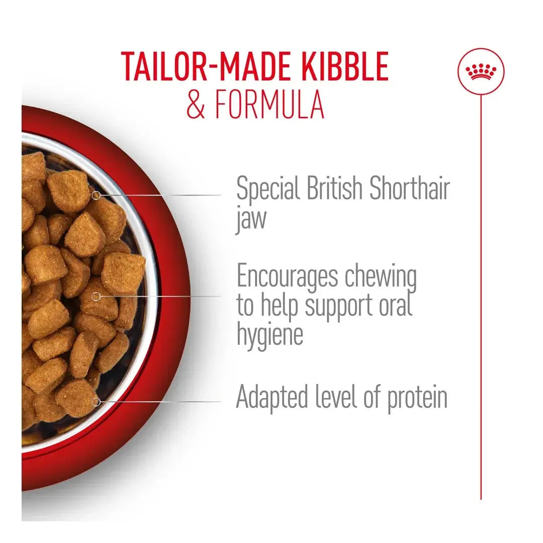 Royal Canin British Shorthair Dry Cat Food