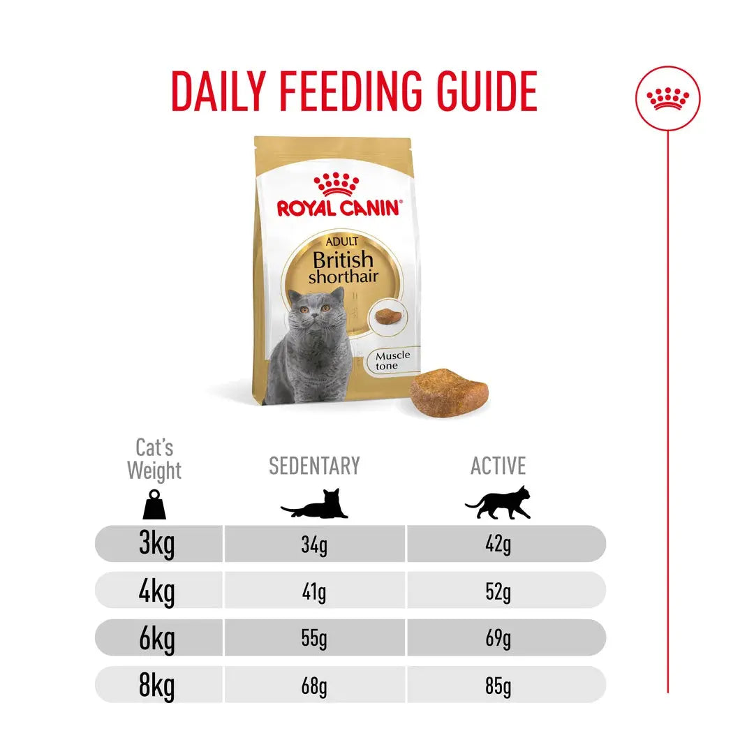 Royal Canin British Shorthair Dry Cat Food