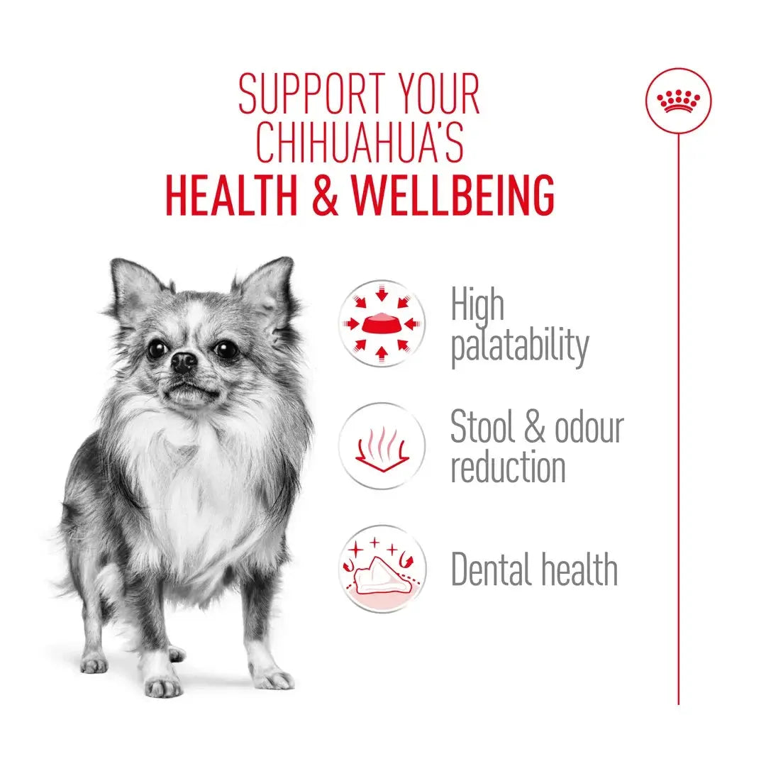 Royal Canin Chihuahua Adult Dry Dog Food
