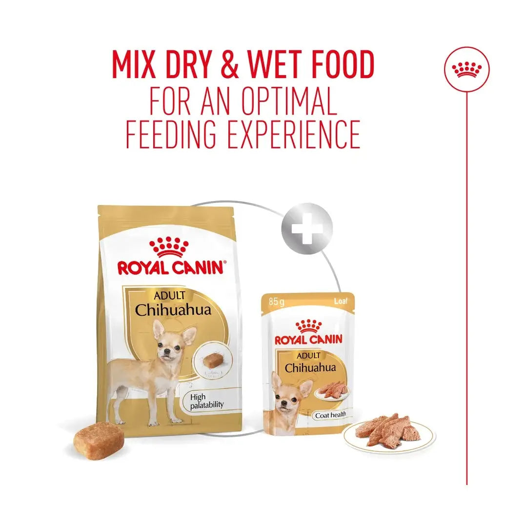 Royal Canin Chihuahua Adult Dry Dog Food