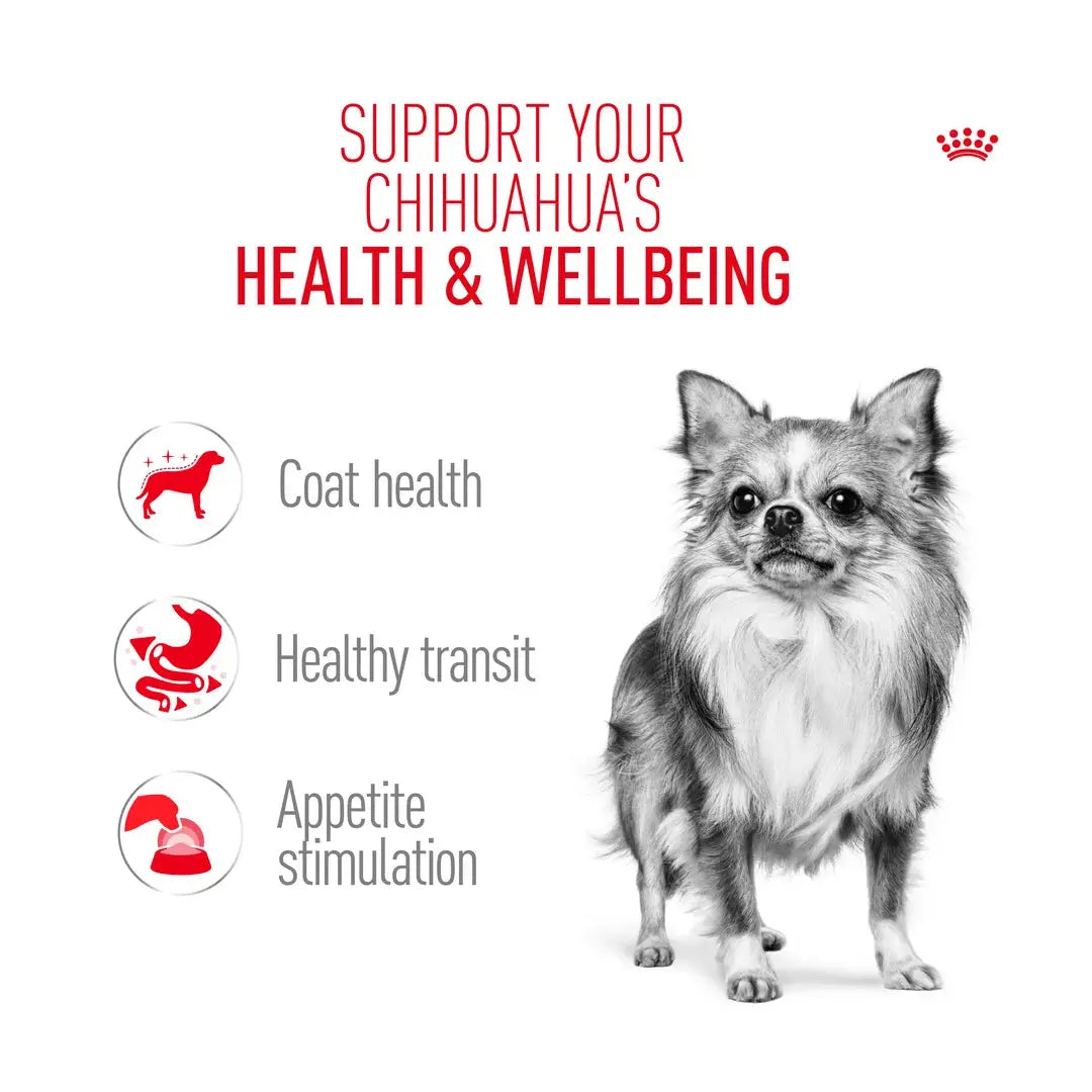 Royal Canin Chihuahua Adult Wet Dog Food Pouch