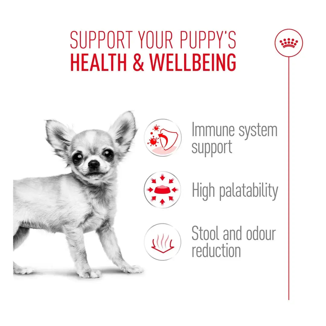 Royal Canin Chihuahua Puppy Dry Dog Food