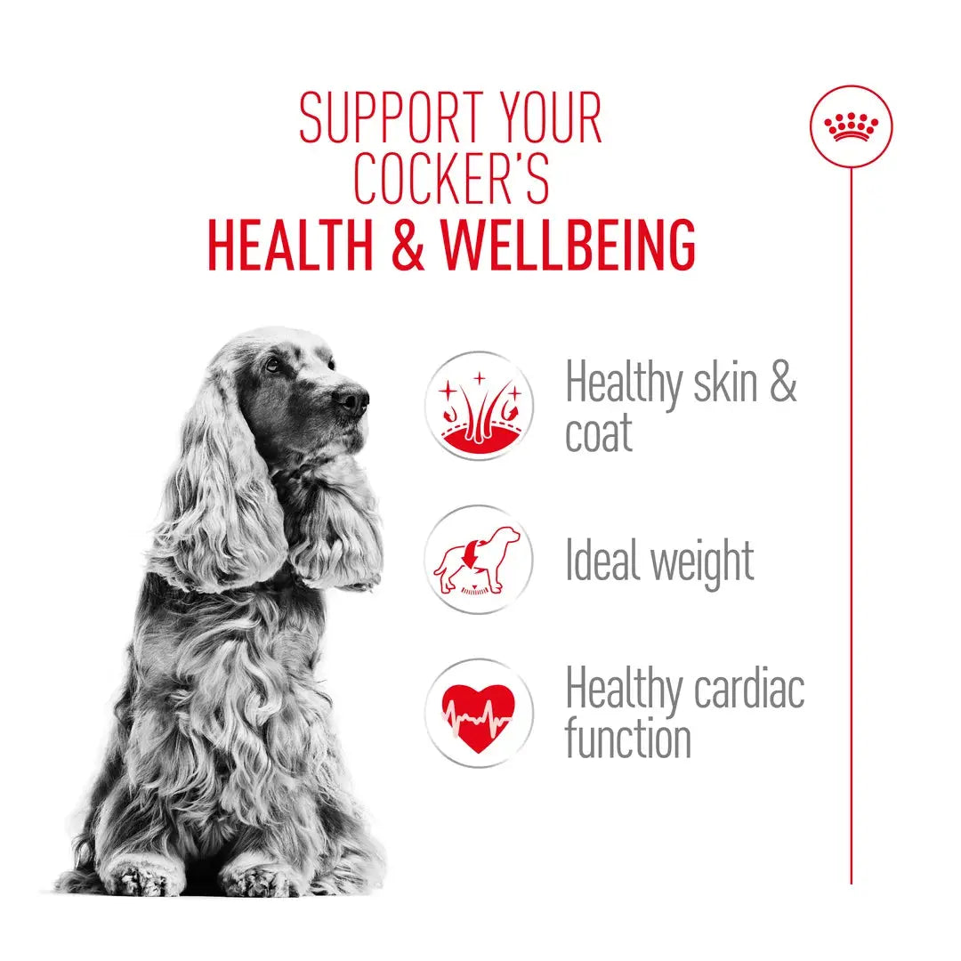 Royal Canin Cocker Spaniel Adult Dry Dog Food