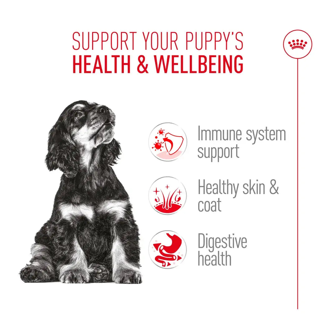 Royal Canin Cocker Spaniel Puppy Dry Dog Food