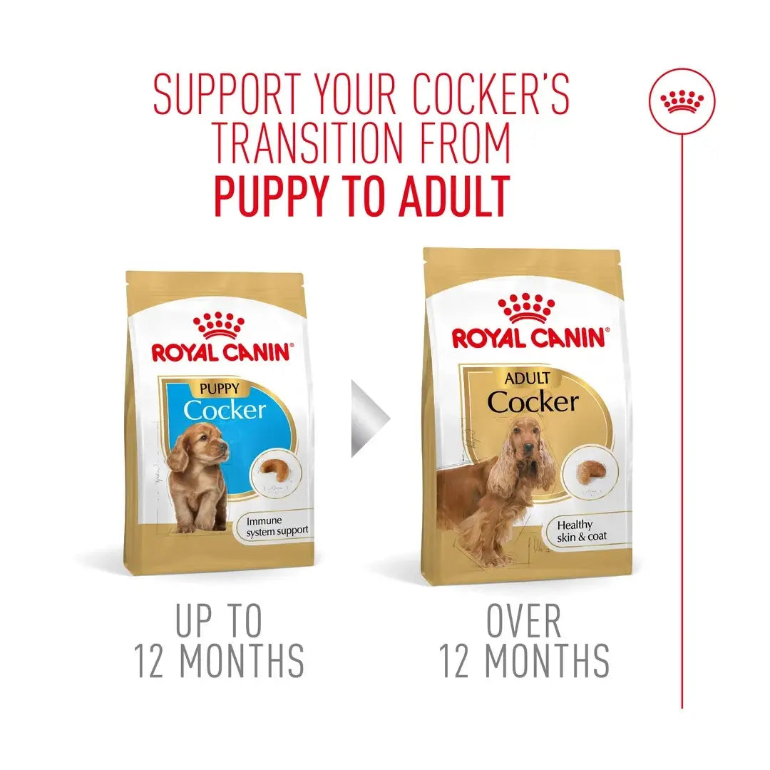 Royal Canin Cocker Spaniel Puppy Dry Dog Food