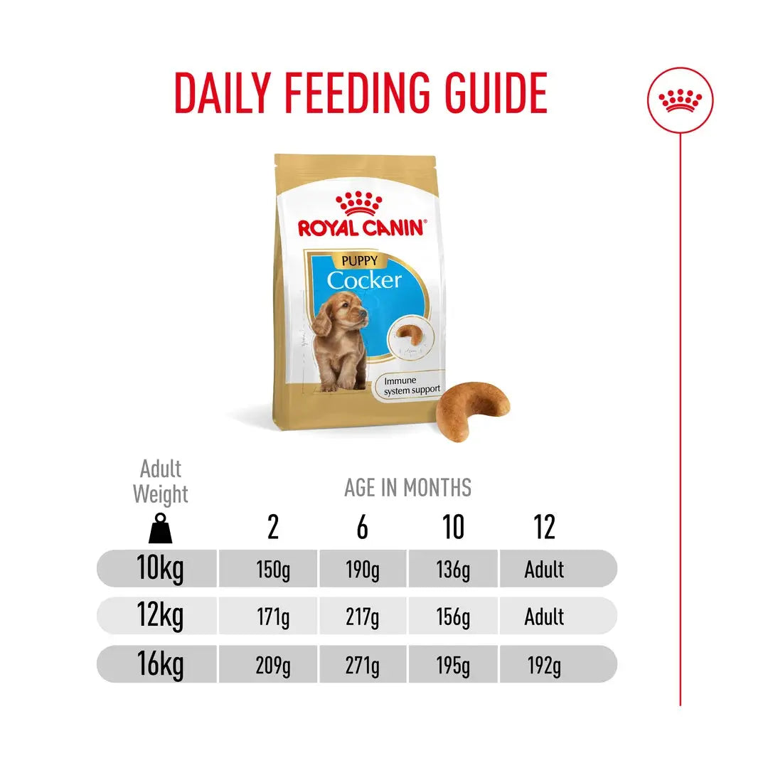 Royal Canin Cocker Spaniel Puppy Dry Dog Food