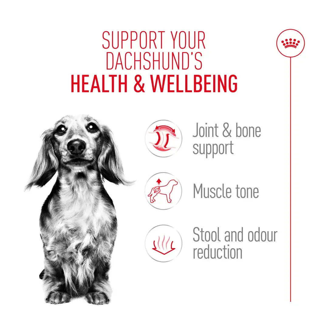 Royal Canin Dachshund Adult Dry Dog Food