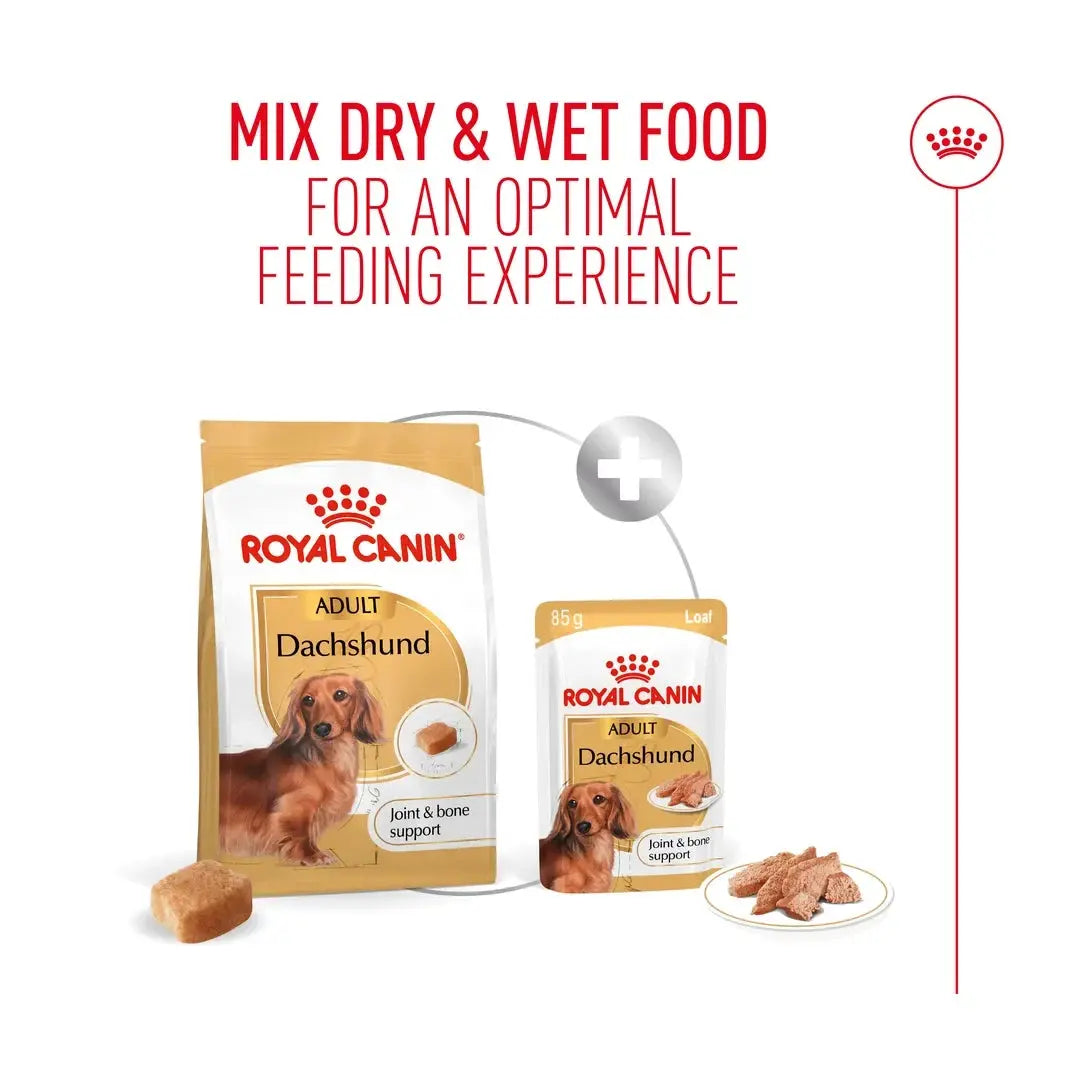 Royal Canin Dachshund Adult Dry Dog Food