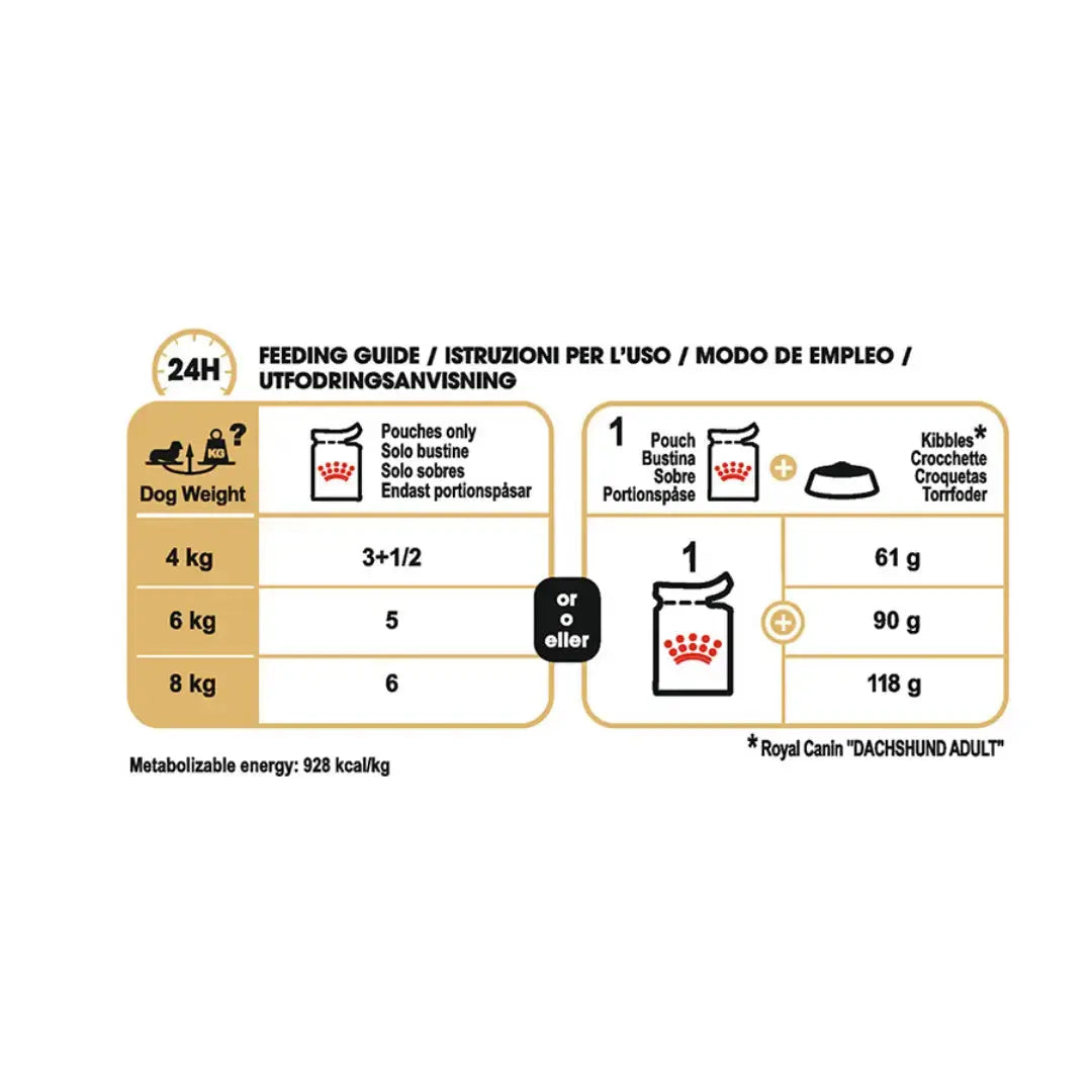 Royal Canin Dachshund Adult Wet Dog Food Pouch   | Canine & Co