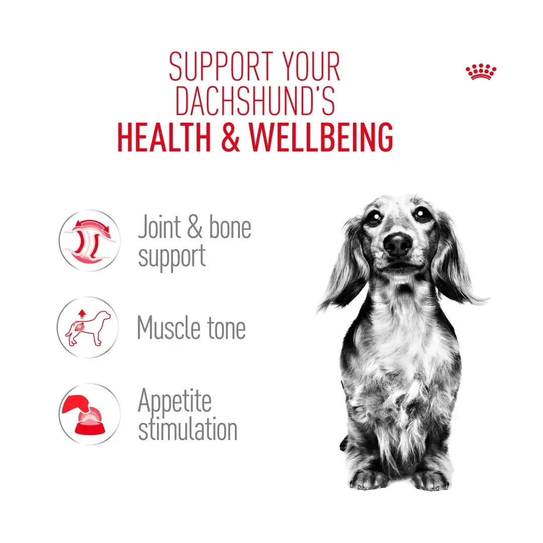 Royal Canin Dachshund Adult Wet Dog Food Pouch