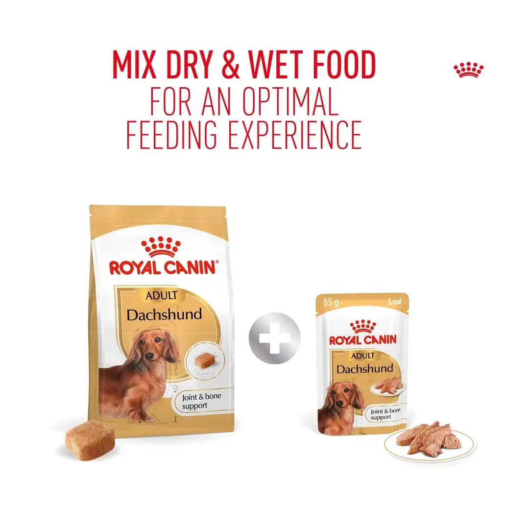 Royal Canin Dachshund Adult Wet Dog Food Pouch