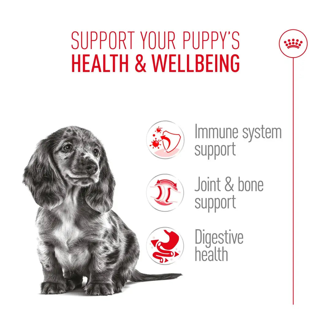 Royal Canin Dachshund Puppy Dry Dog Food