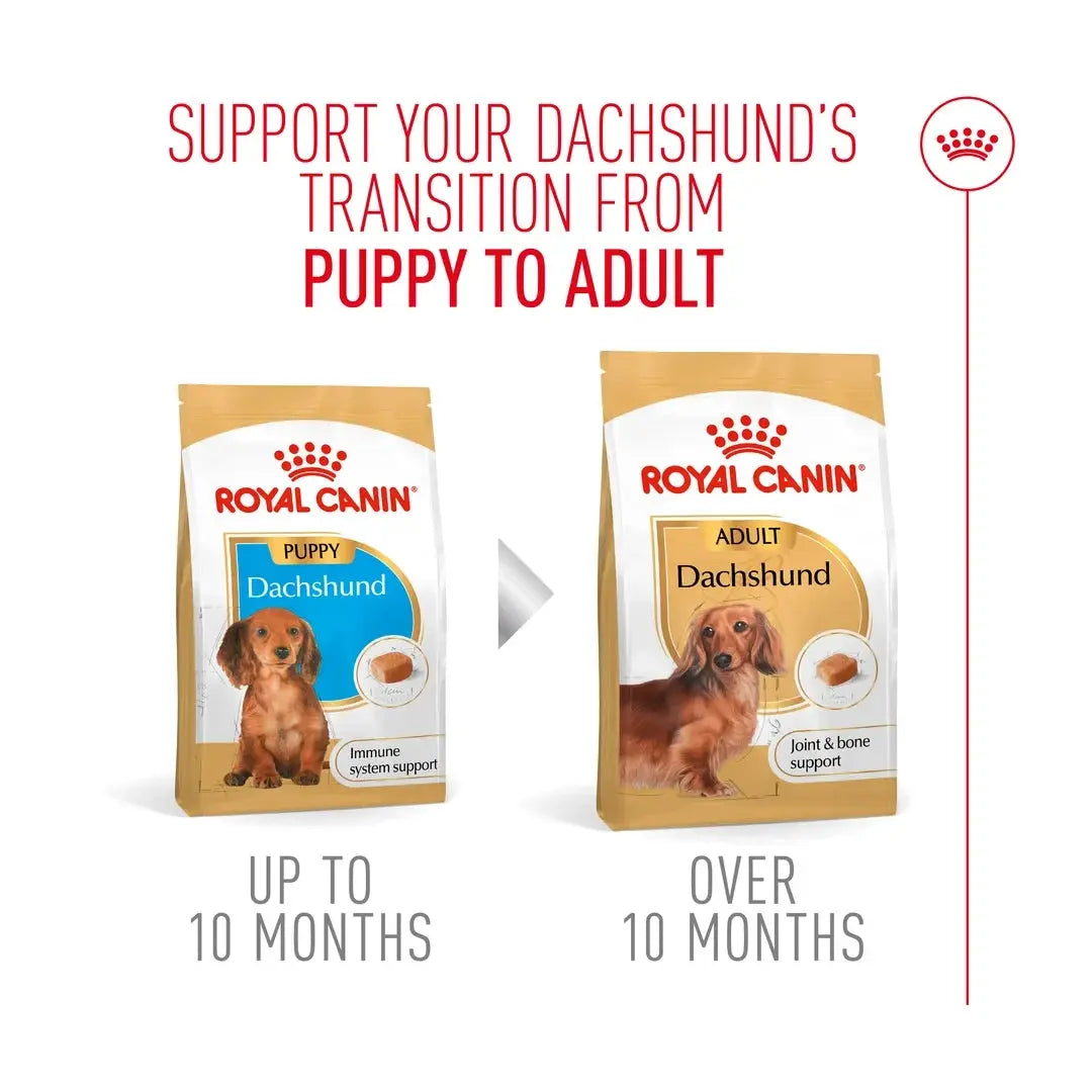 Royal Canin Dachshund Puppy Dry Dog Food