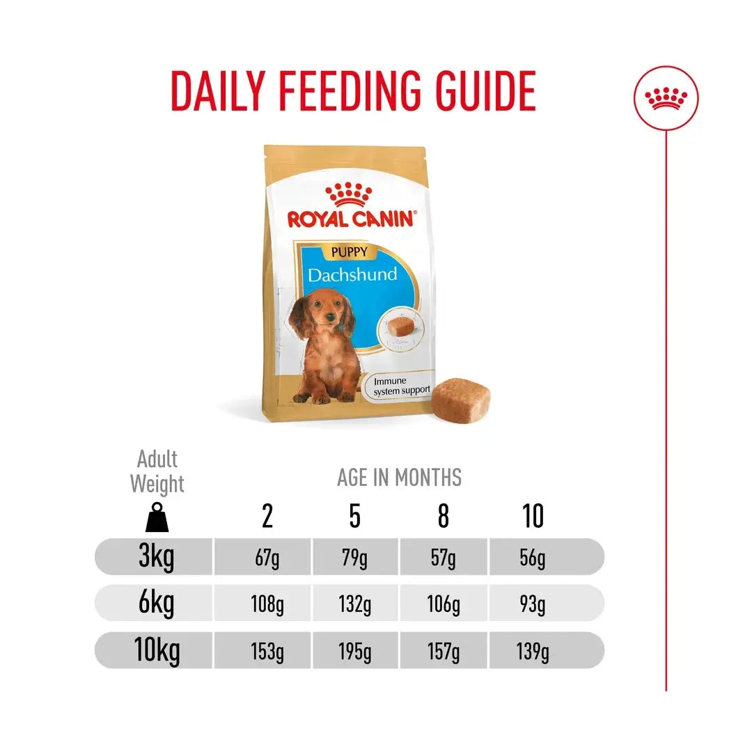 Royal Canin Dachshund Puppy Dry Dog Food