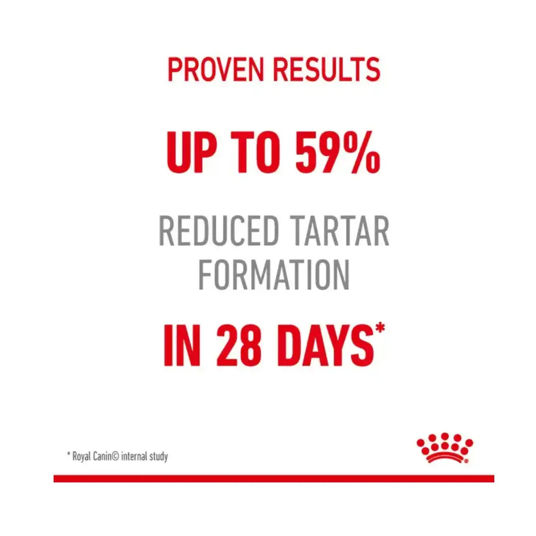 Royal Canin Dental Care Dry Cat Food   | Canine & Co