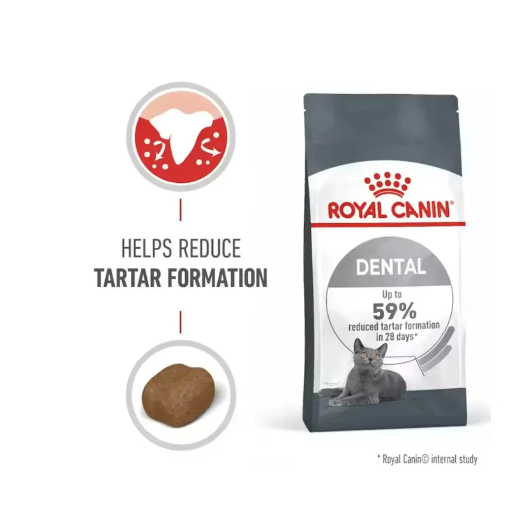 Royal Canin Dental Care Dry Cat Food   | Canine & Co