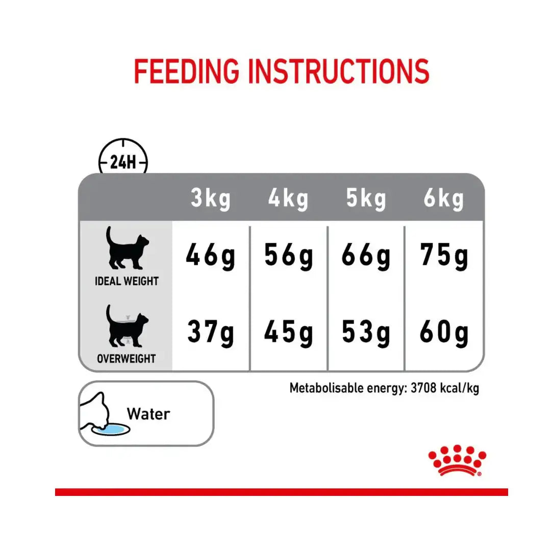 Royal Canin Dental Care Dry Cat Food   | Canine & Co