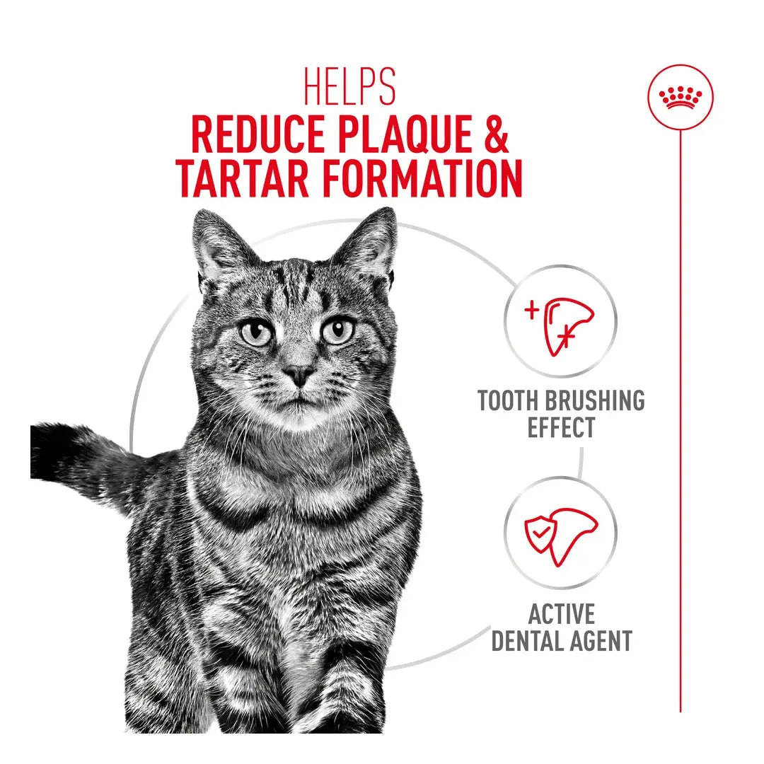 Royal Canin Dental Care Dry Cat Food