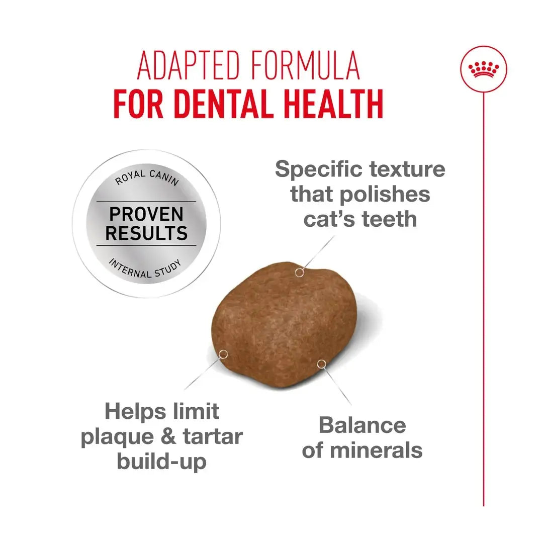 Royal Canin Dental Care Dry Cat Food