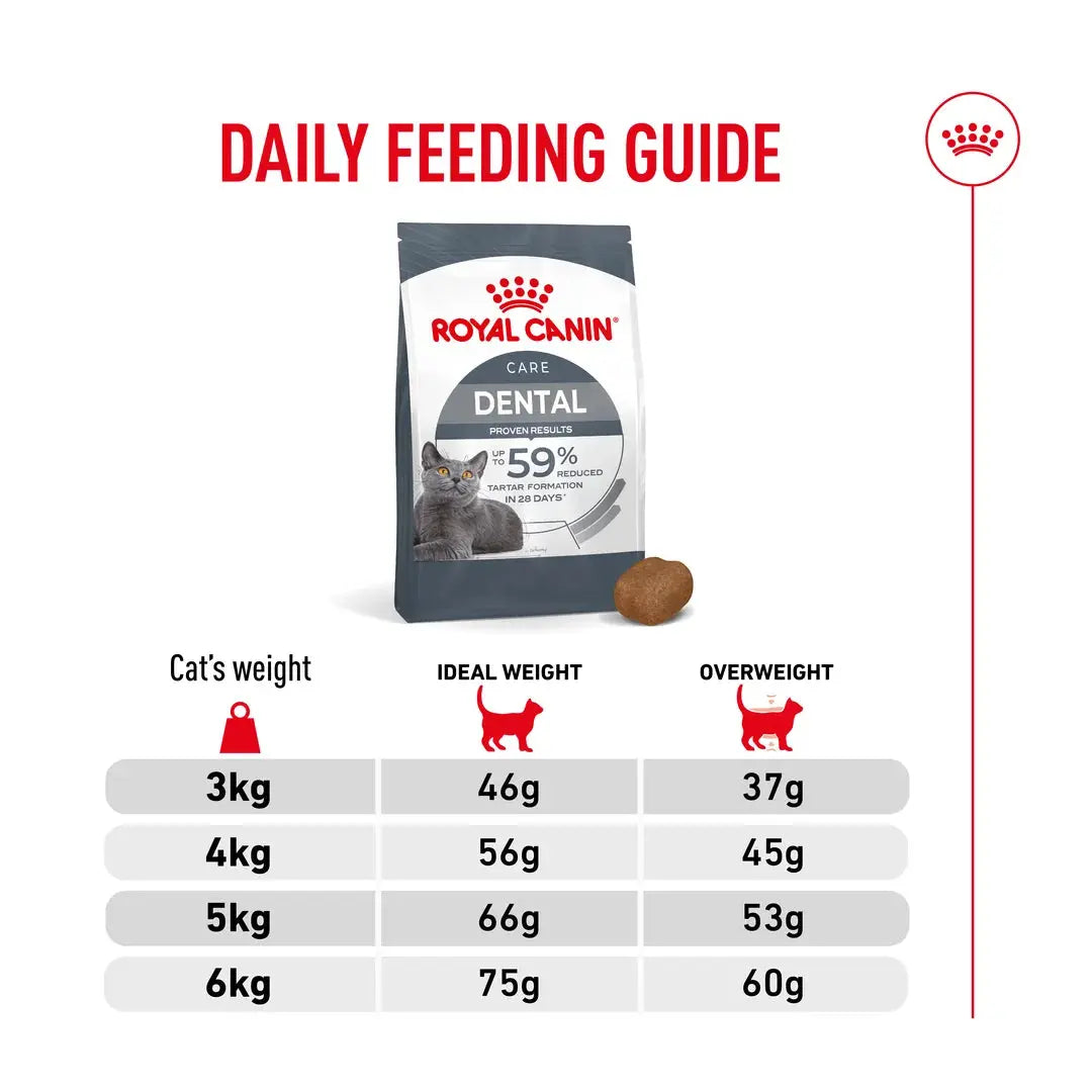 Royal Canin Dental Care Dry Cat Food