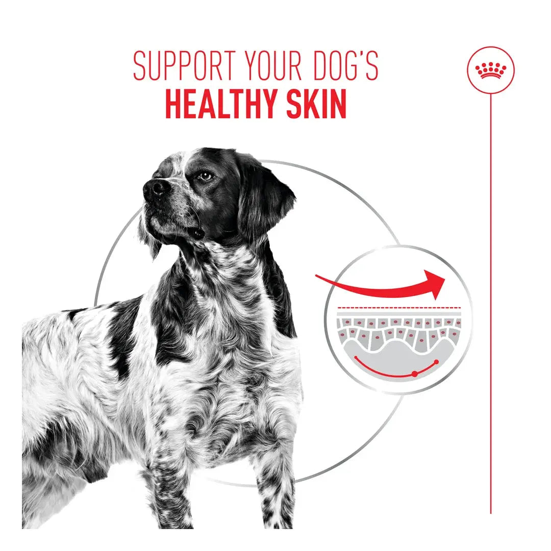 Royal Canin Dermacomfort Loaf Wet Dog Food