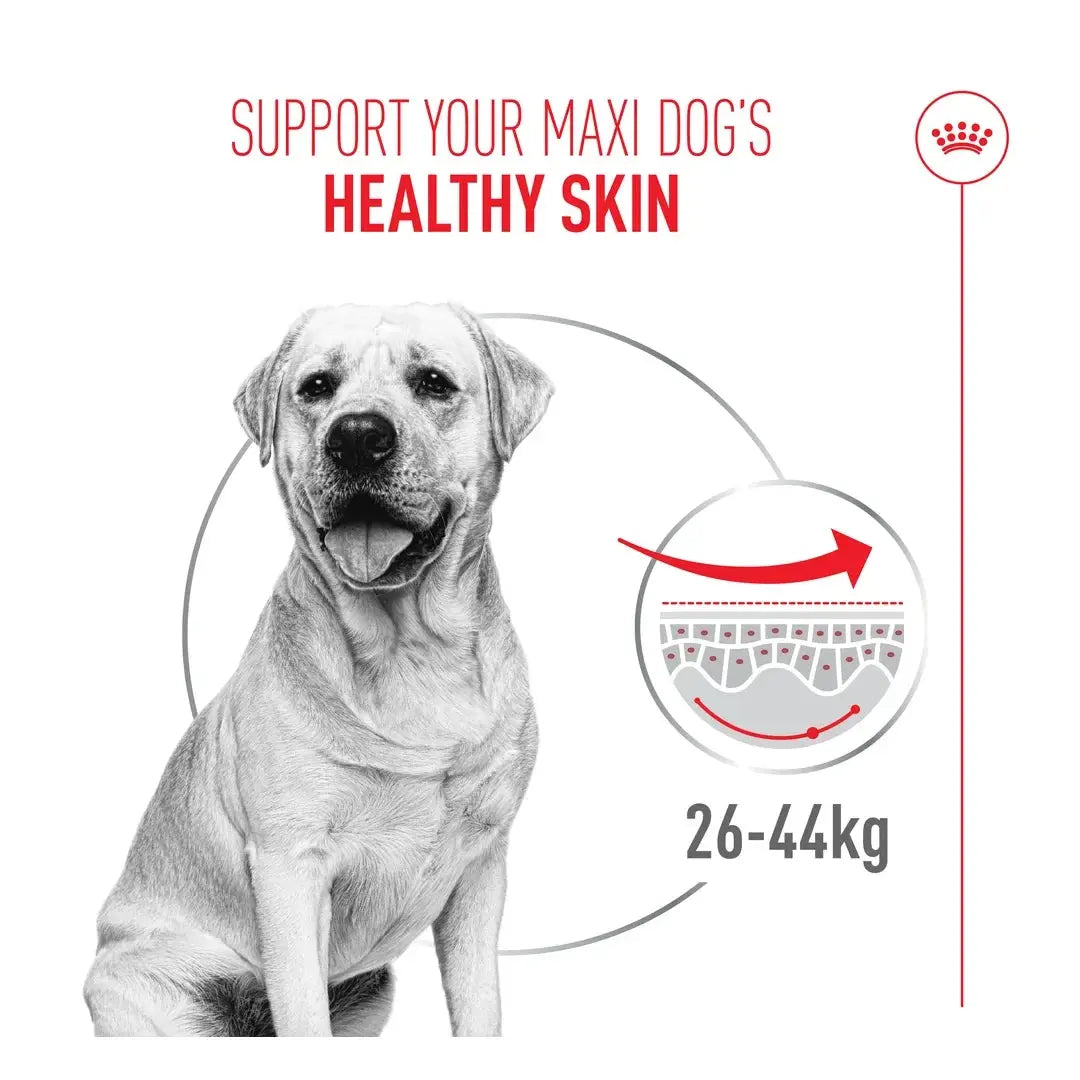 Royal Canin Dermacomfort Maxi Dry Dog Food