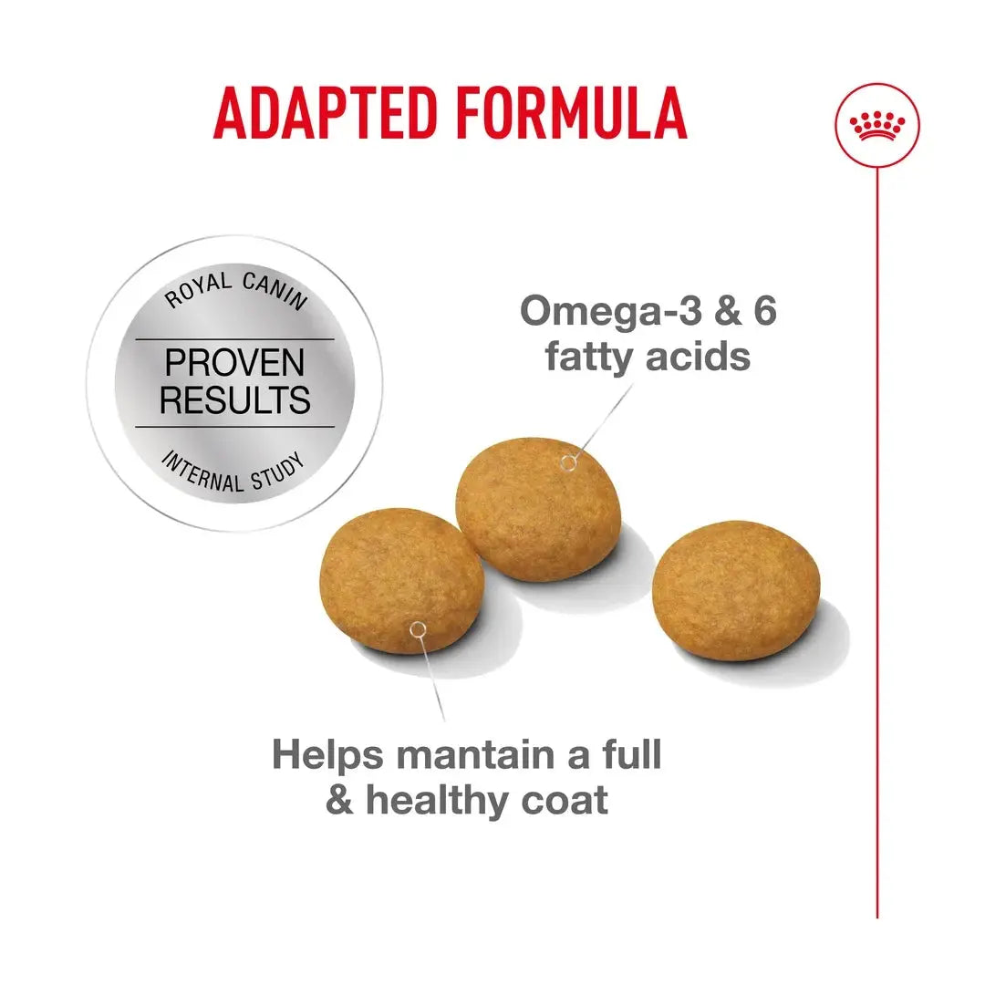 Royal Canin Dermacomfort Medium Dry Dog Food
