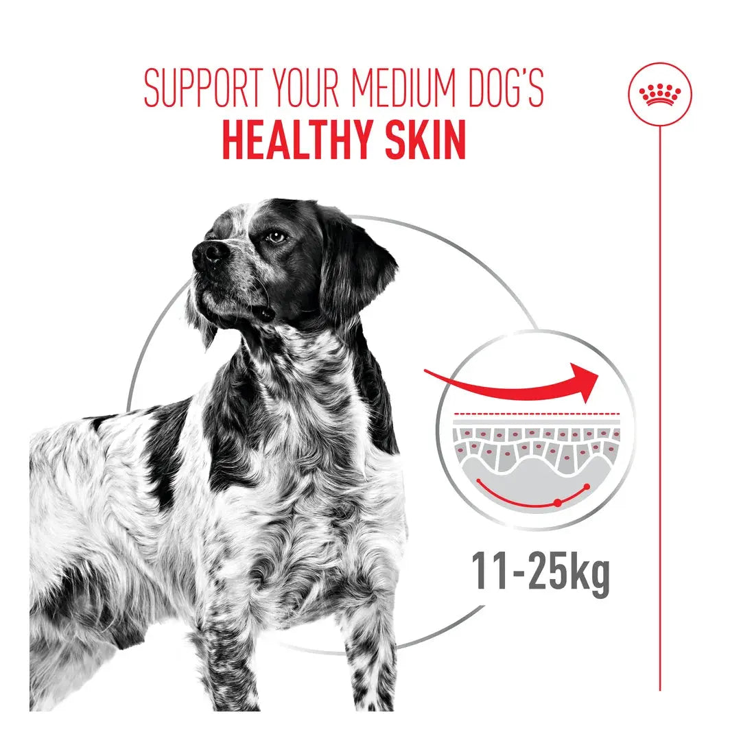 Royal Canin Dermacomfort Medium Dry Dog Food