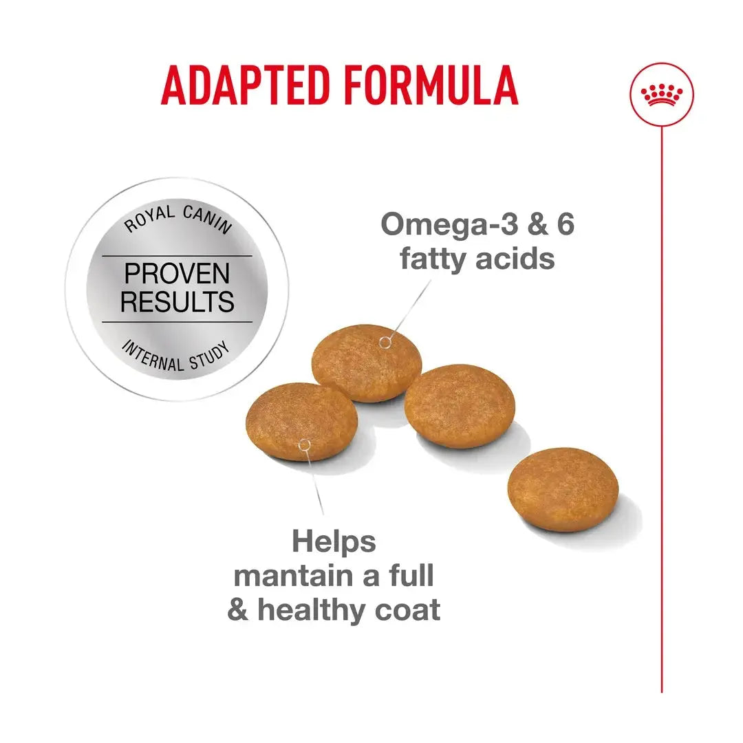 Royal Canin Dermacomfort Mini Dry Dog Food