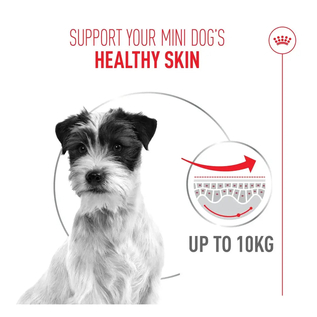 Royal Canin Dermacomfort Mini Dry Dog Food