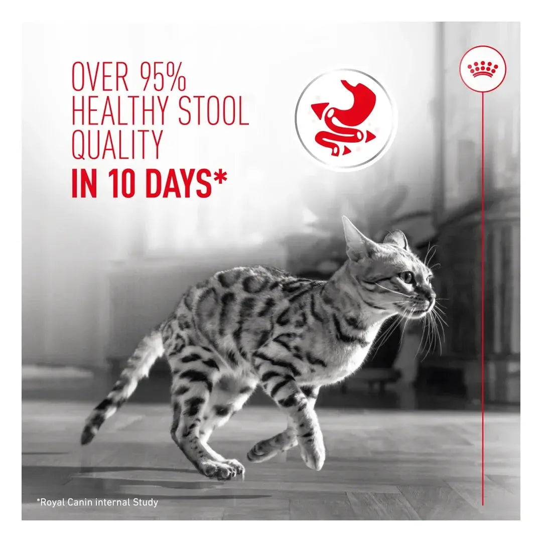 Royal Canin Digestive Care Cat Wet Cat Food Pouch