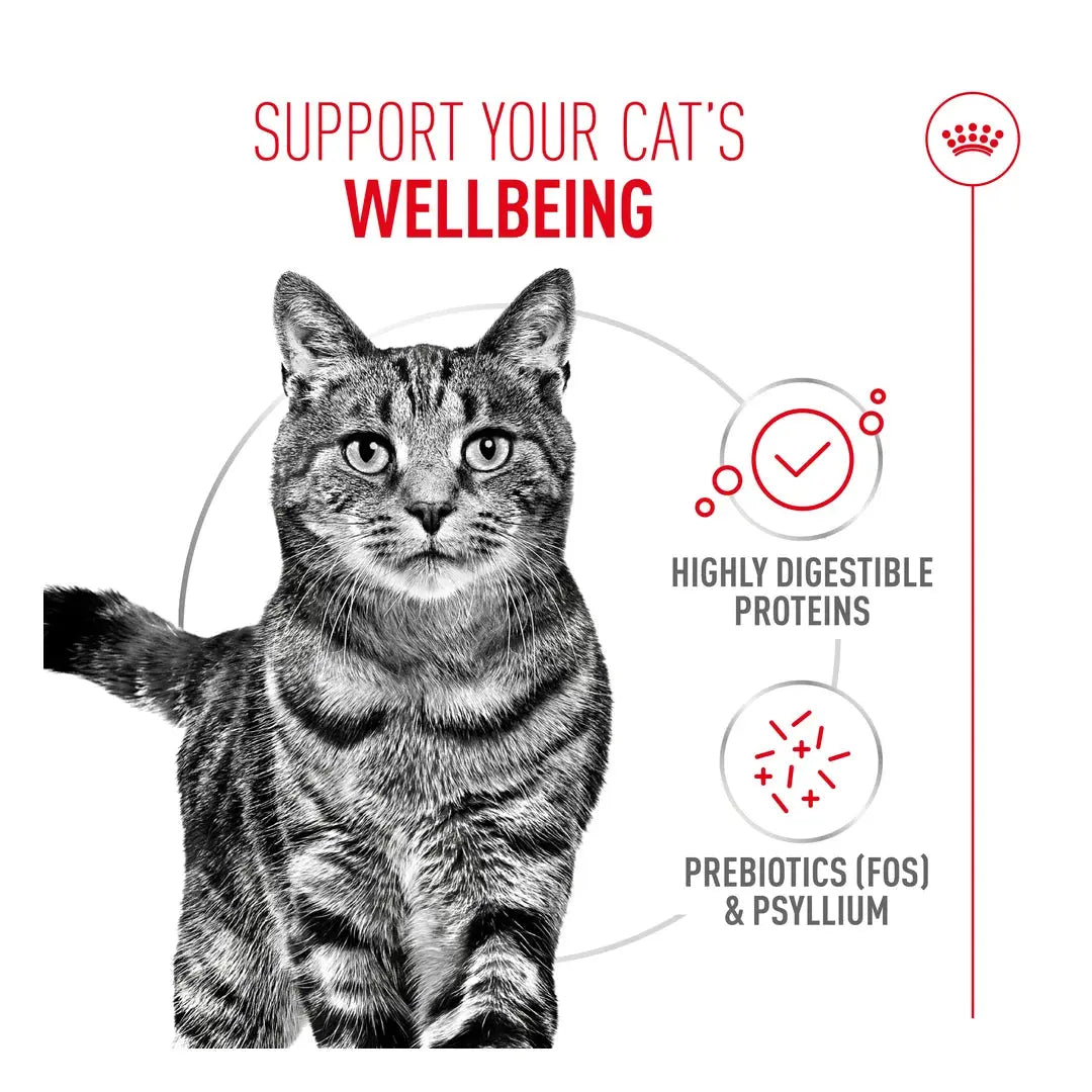 Royal Canin Digestive Care Cat Wet Cat Food Pouch