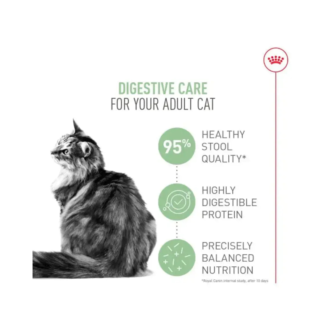Royal Canin Digestive Care Dry Cat Food   | Canine & Co