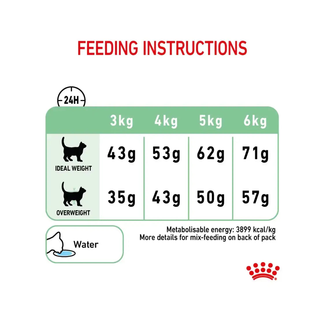 Royal Canin Digestive Care Dry Cat Food   | Canine & Co